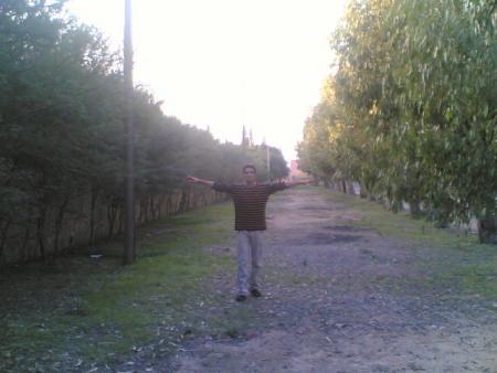 dima tabi3a